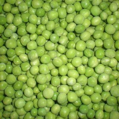 Frozen green peas brands variety A grade typical green bulk package